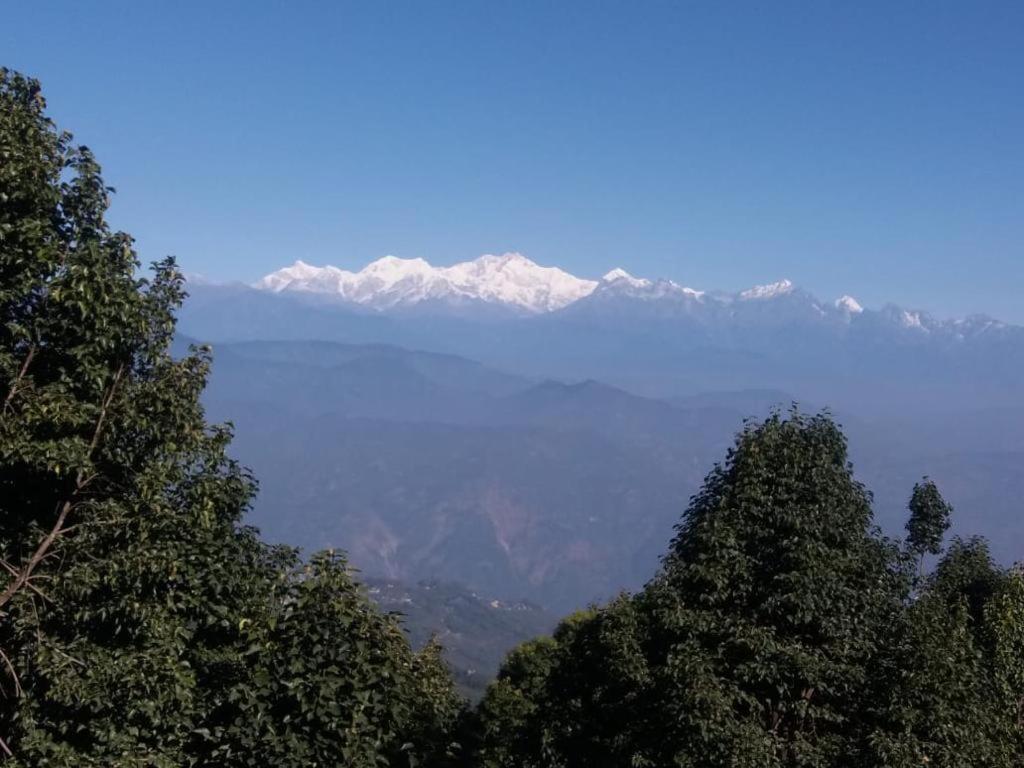 Parvi Homestay Darjeeling  Dış mekan fotoğraf